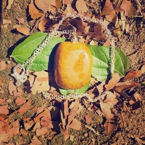 Tigers Eye Necklace.